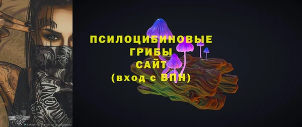 apvp Володарск