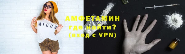 амф Вяземский