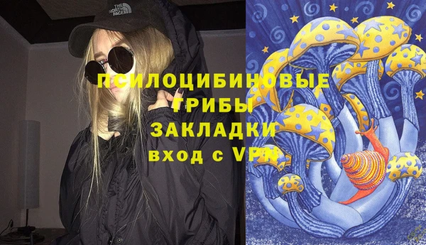 PSILOCYBIN Волоколамск