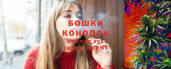 амф Вяземский