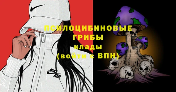 apvp Володарск