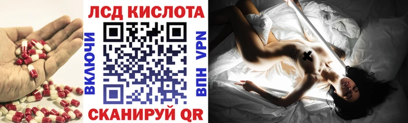 Купить закладки  Курчалой  LSD-25 экстази кислота 