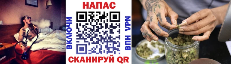 Купить закладки  Курчалой  МАРИХУАНА VHQ 